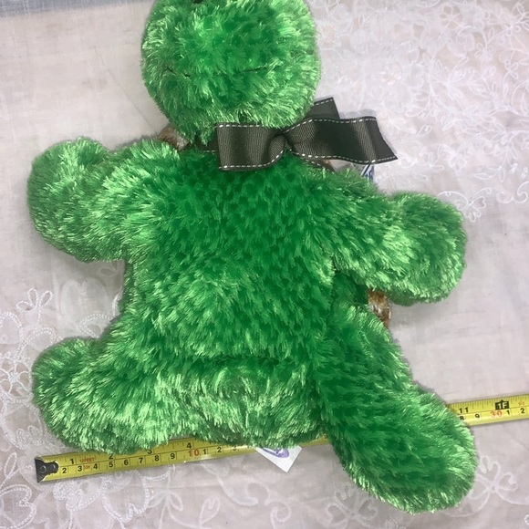 12" Mary Meyer Lil' Tyler Turtle #51710 plush stuff animal - Picture 9 of 10